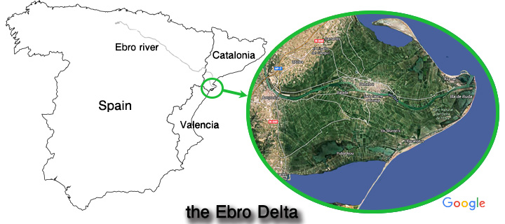 Delta Ebro